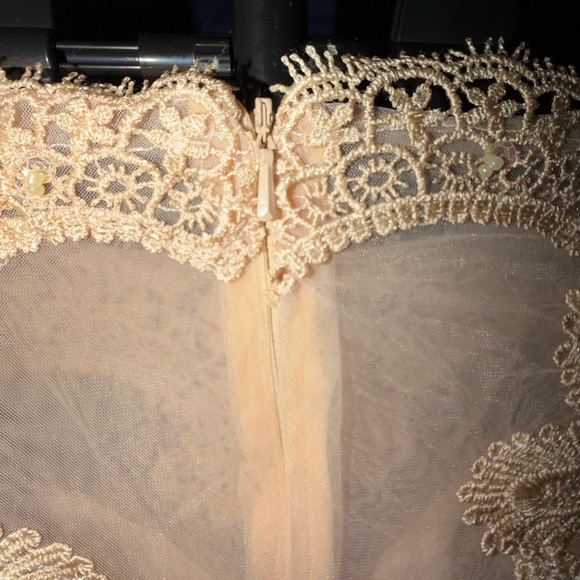 Champagne Lace Formal Dress W/ Sheer Lace Top-Size US 16 Eveng /Wdg. Guest Gown - Picture 7 of 12